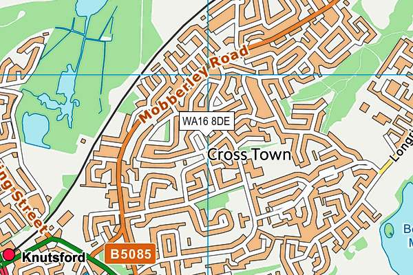 WA16 8DE map - OS VectorMap District (Ordnance Survey)