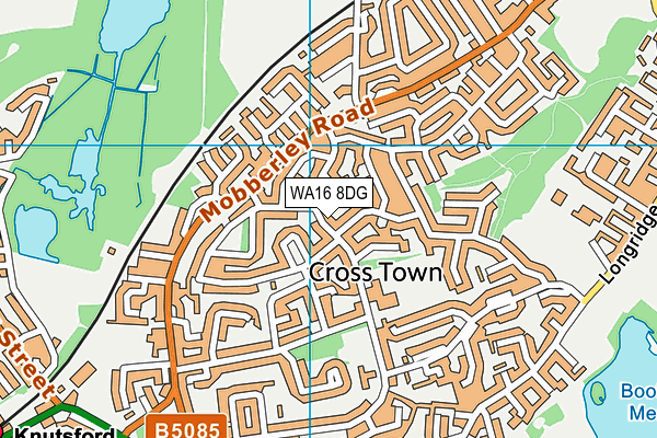WA16 8DG map - OS VectorMap District (Ordnance Survey)