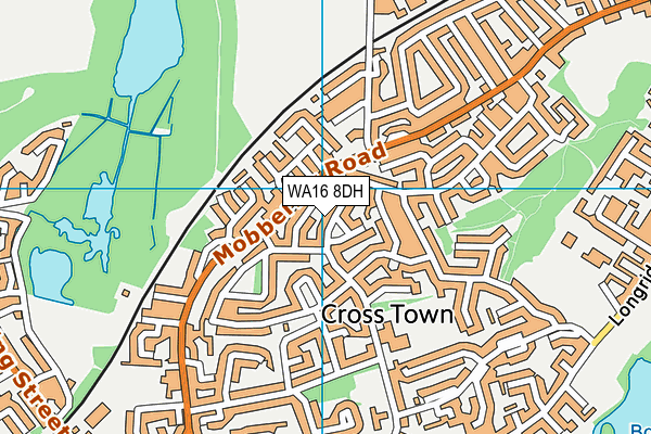 WA16 8DH map - OS VectorMap District (Ordnance Survey)