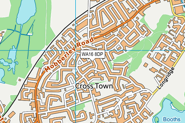 WA16 8DP map - OS VectorMap District (Ordnance Survey)