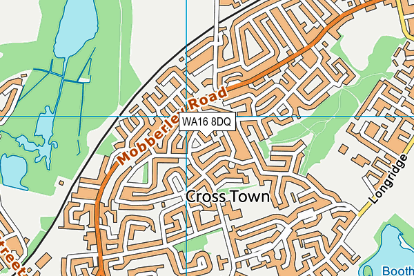WA16 8DQ map - OS VectorMap District (Ordnance Survey)
