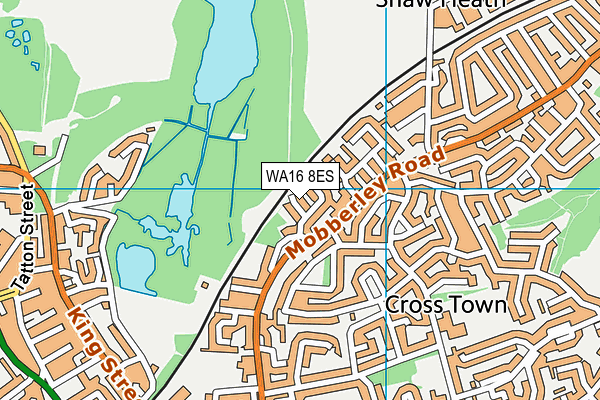 WA16 8ES map - OS VectorMap District (Ordnance Survey)