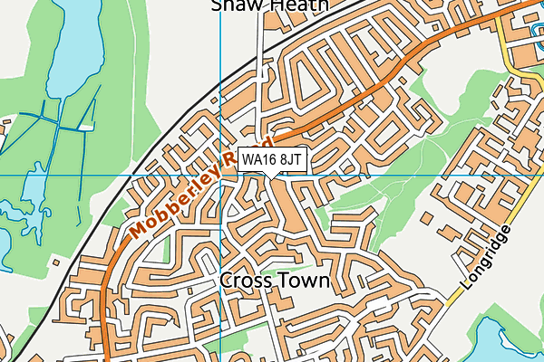 WA16 8JT map - OS VectorMap District (Ordnance Survey)