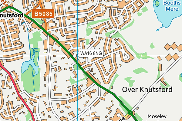 WA16 8NG map - OS VectorMap District (Ordnance Survey)