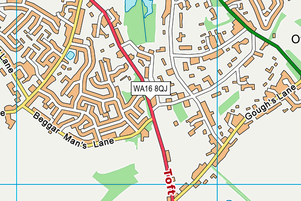 WA16 8QJ map - OS VectorMap District (Ordnance Survey)