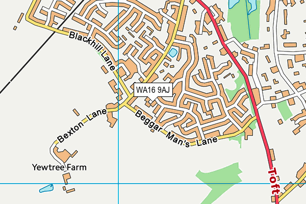 WA16 9AJ map - OS VectorMap District (Ordnance Survey)