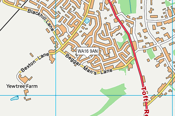 WA16 9AN map - OS VectorMap District (Ordnance Survey)