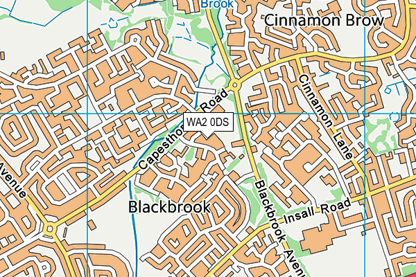 WA2 0DS map - OS VectorMap District (Ordnance Survey)