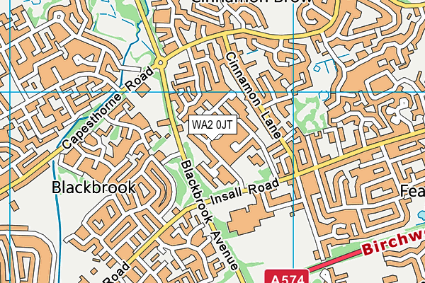 WA2 0JT map - OS VectorMap District (Ordnance Survey)