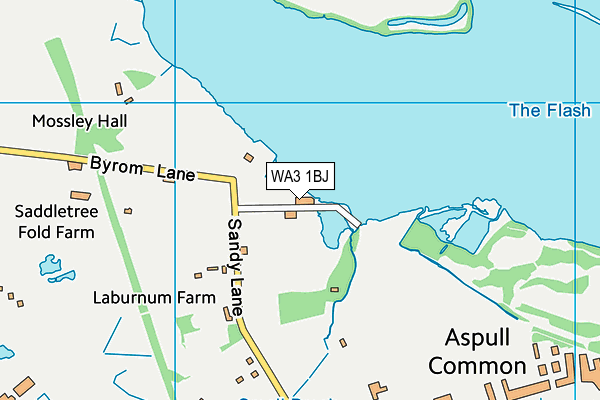 WA3 1BJ map - OS VectorMap District (Ordnance Survey)