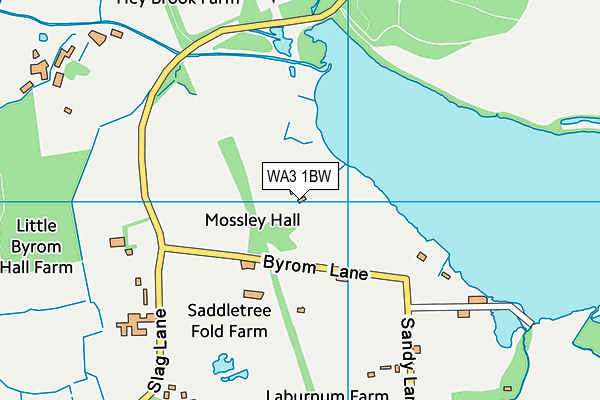 WA3 1BW map - OS VectorMap District (Ordnance Survey)
