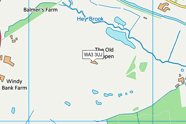 WA3 3UJ map - OS VectorMap District (Ordnance Survey)