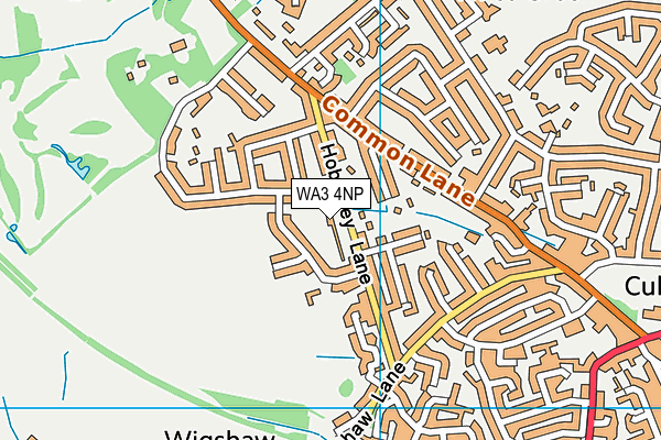 WA3 4NP map - OS VectorMap District (Ordnance Survey)