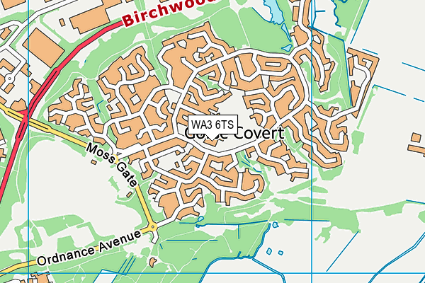 Gorse Covert Primary School map (WA3 6TS) - OS VectorMap District (Ordnance Survey)