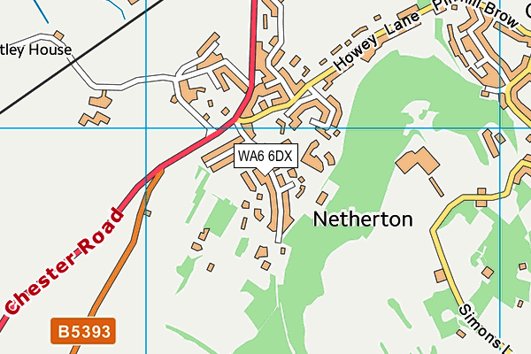 WA6 6DX map - OS VectorMap District (Ordnance Survey)