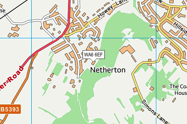 WA6 6EF map - OS VectorMap District (Ordnance Survey)