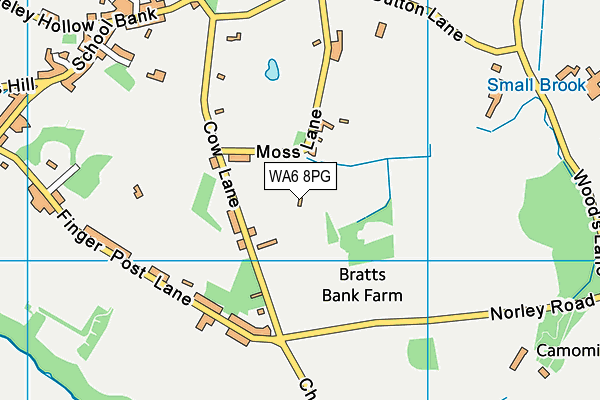 WA6 8PG map - OS VectorMap District (Ordnance Survey)
