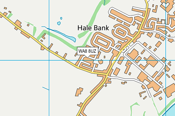 Halebank CofE Primary School map (WA8 8UZ) - OS VectorMap District (Ordnance Survey)