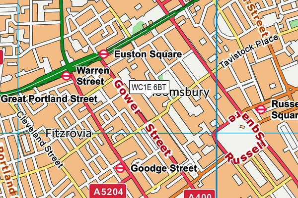 University College London map (WC1E 6BT) - OS VectorMap District (Ordnance Survey)