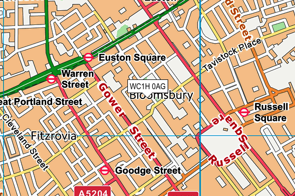 WC1H 0AG map - OS VectorMap District (Ordnance Survey)