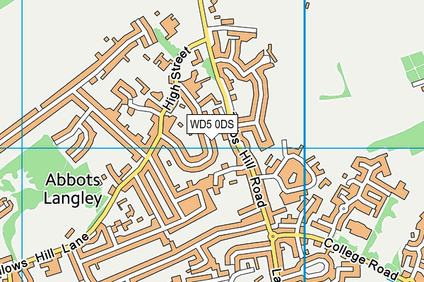WD5 0DS map - OS VectorMap District (Ordnance Survey)