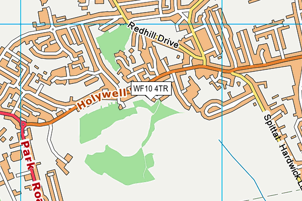 WF10 4TR map - OS VectorMap District (Ordnance Survey)