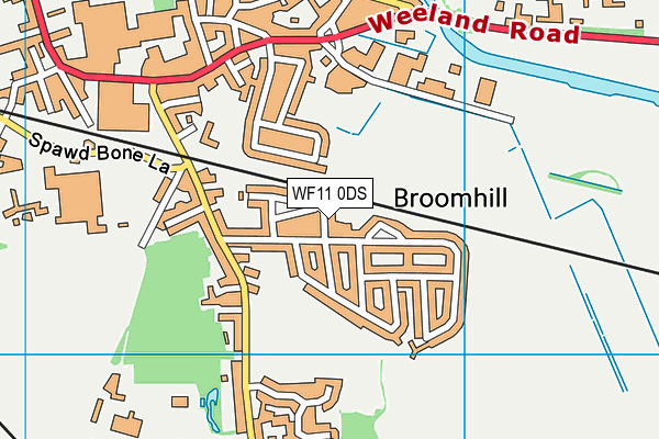 WF11 0DS map - OS VectorMap District (Ordnance Survey)