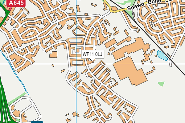 WF11 0LJ map - OS VectorMap District (Ordnance Survey)