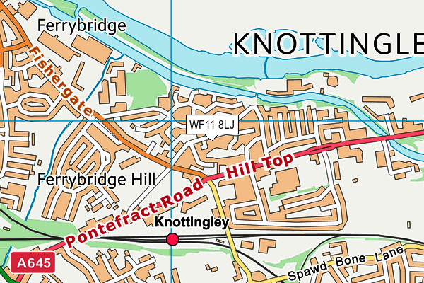 WF11 8LJ map - OS VectorMap District (Ordnance Survey)