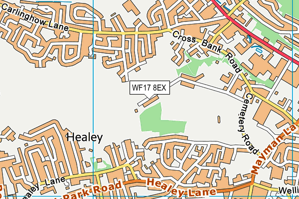 WF17 8EX map - OS VectorMap District (Ordnance Survey)