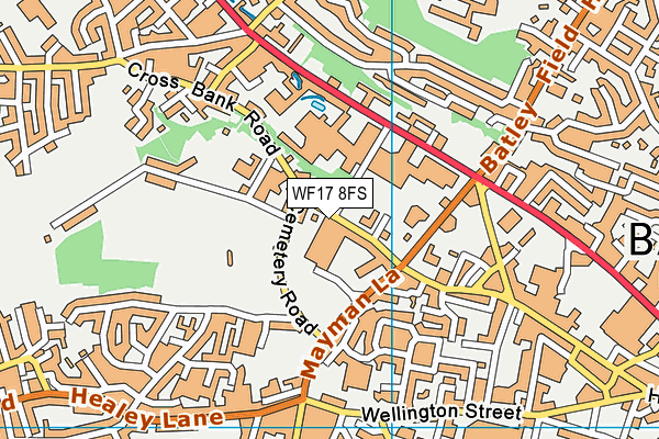 WF17 8FS map - OS VectorMap District (Ordnance Survey)