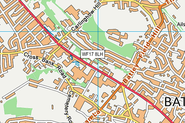 WF17 8LH map - OS VectorMap District (Ordnance Survey)