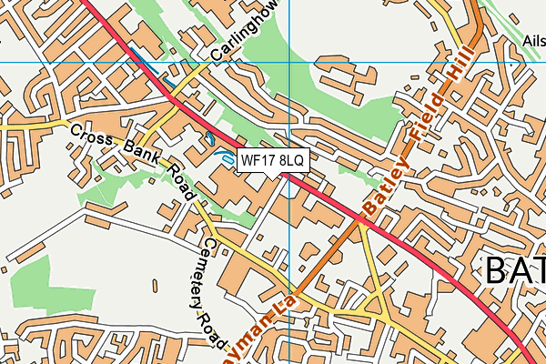 WF17 8LQ map - OS VectorMap District (Ordnance Survey)