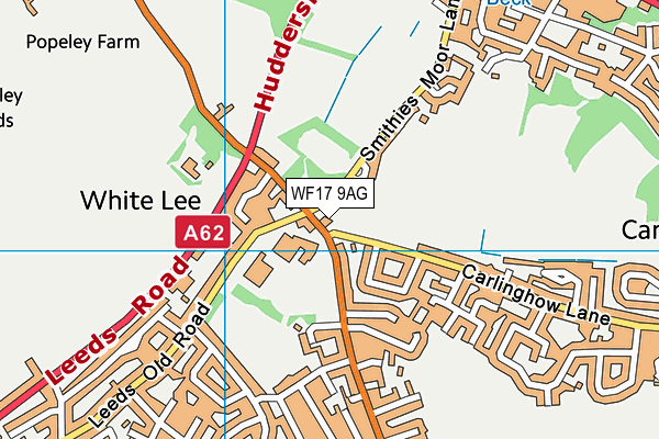 WF17 9AG map - OS VectorMap District (Ordnance Survey)