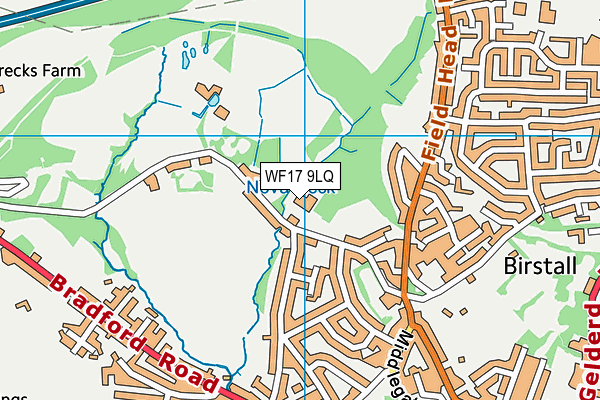 WF17 9LQ map - OS VectorMap District (Ordnance Survey)