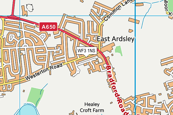 WF3 1NS map - OS VectorMap District (Ordnance Survey)