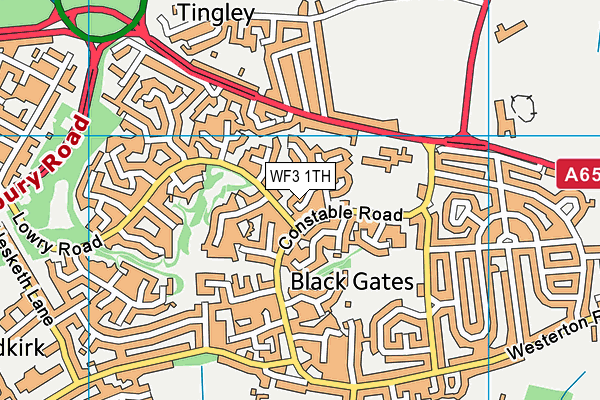 WF3 1TH map - OS VectorMap District (Ordnance Survey)