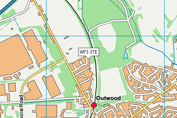 WF3 3TE map - OS VectorMap District (Ordnance Survey)