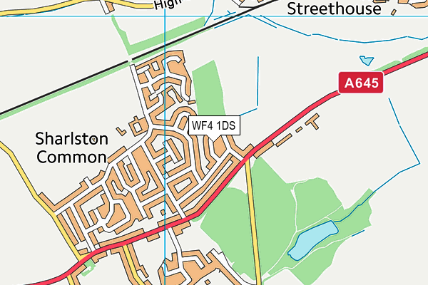 WF4 1DS map - OS VectorMap District (Ordnance Survey)