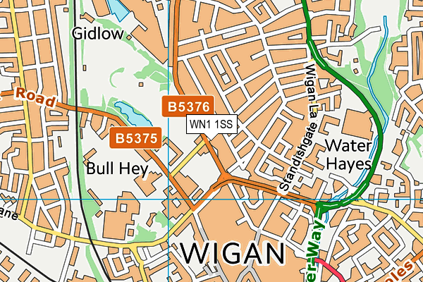 WN1 1SS map - OS VectorMap District (Ordnance Survey)