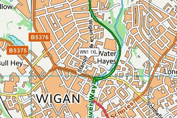 Mab's Cross Primary School map (WN1 1XL) - OS VectorMap District (Ordnance Survey)