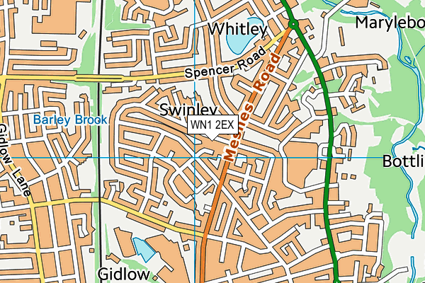 WN1 2EX map - OS VectorMap District (Ordnance Survey)