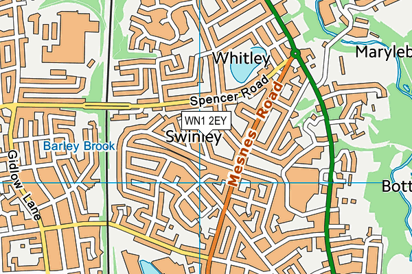 WN1 2EY map - OS VectorMap District (Ordnance Survey)