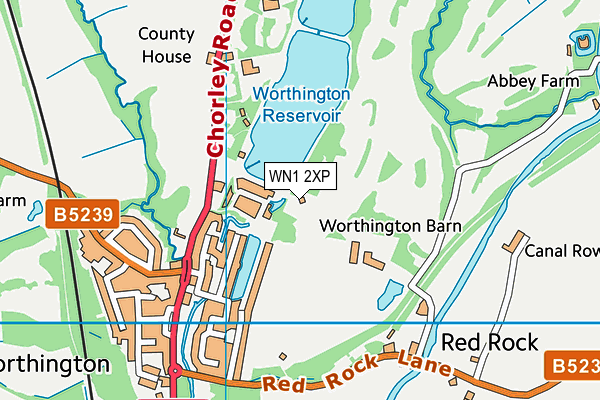 WN1 2XP map - OS VectorMap District (Ordnance Survey)