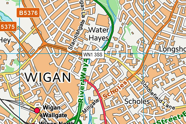 WN1 3SS map - OS VectorMap District (Ordnance Survey)