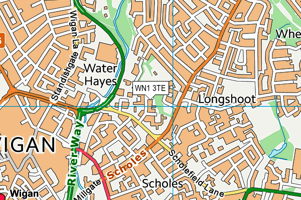 WN1 3TE map - OS VectorMap District (Ordnance Survey)