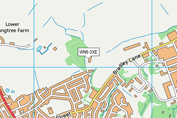 WN6 0XE map - OS VectorMap District (Ordnance Survey)