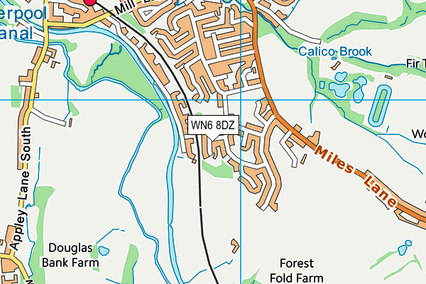 WN6 8DZ map - OS VectorMap District (Ordnance Survey)