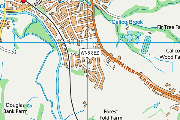WN6 8EZ map - OS VectorMap District (Ordnance Survey)