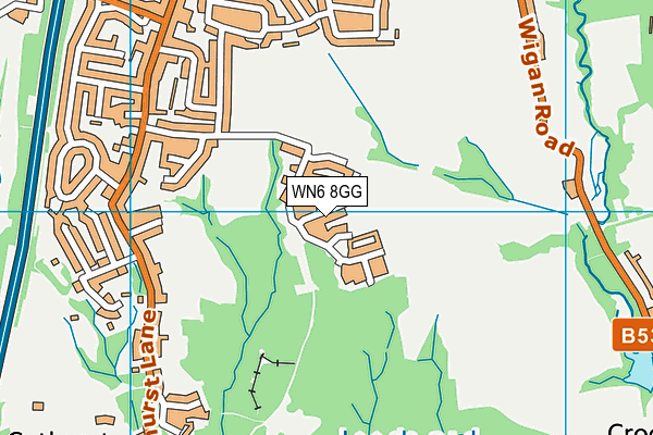 WN6 8GG map - OS VectorMap District (Ordnance Survey)